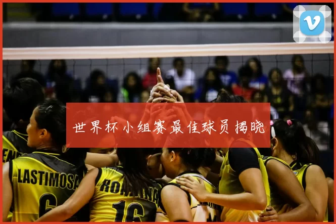 世界杯小组赛最佳球员揭晓