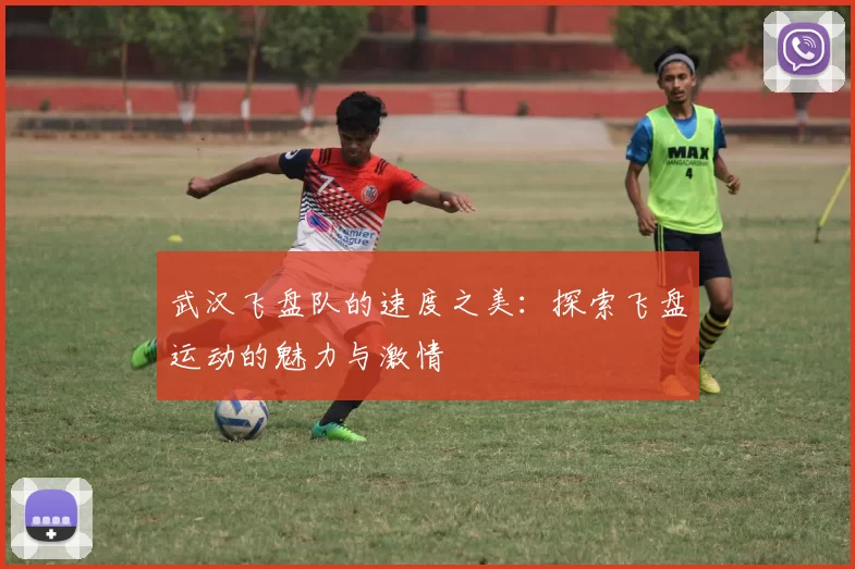 武汉飞盘队的速度之美：探索飞盘运动的魅力与激情