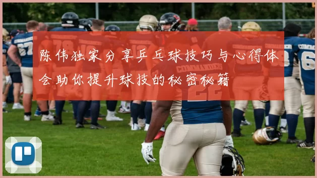 陈伟独家分享乒乓球技巧与心得体会助你提升球技的秘密秘籍