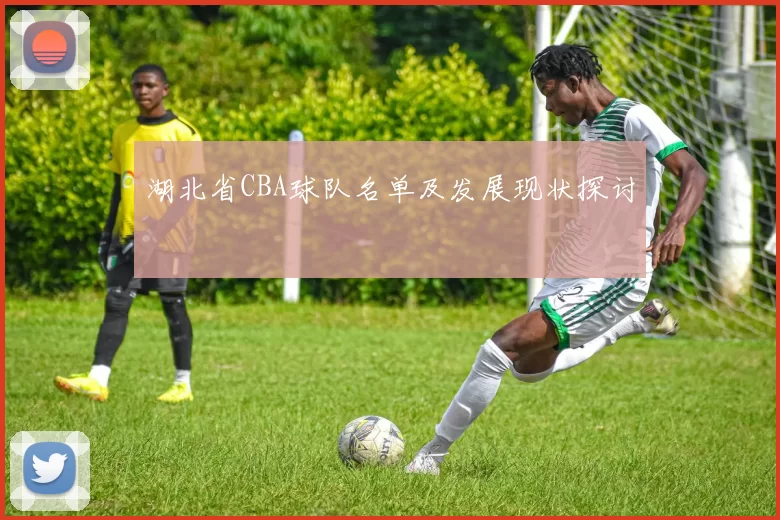 湖北省CBA球队名单及发展现状探讨