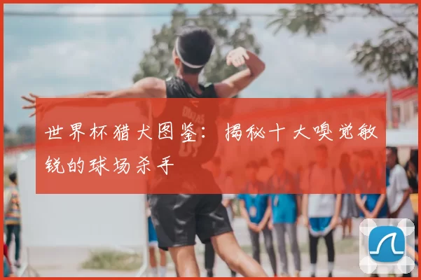 世界杯猎犬图鉴:揭秘十大嗅觉敏锐的球场杀手