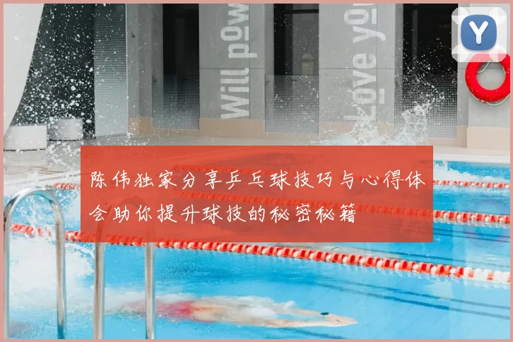 陈伟独家分享乒乓球技巧与心得体会助你提升球技的秘密秘籍