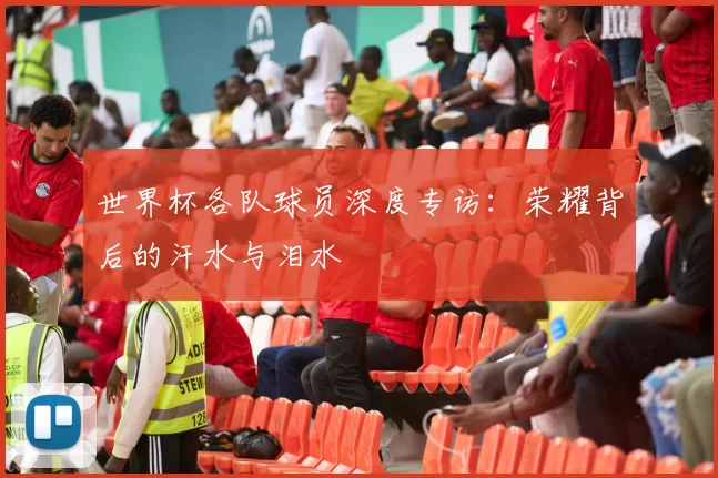 世界杯各队球员深度专访：荣耀背后的汗水与泪水